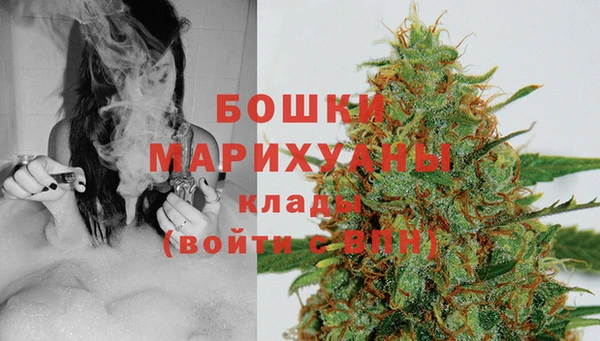 крисы Вязники