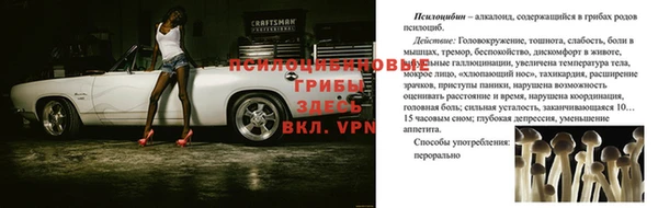 крисы Вязники