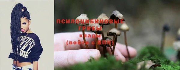 мяу мяу мука Вязьма