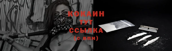 крисы Вязники
